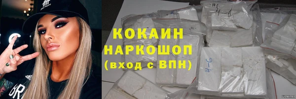 сатива Магас
