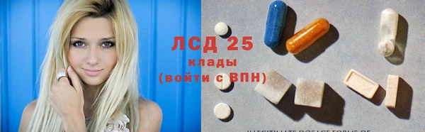 сатива Магас