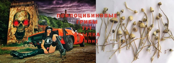 спиды Балабаново