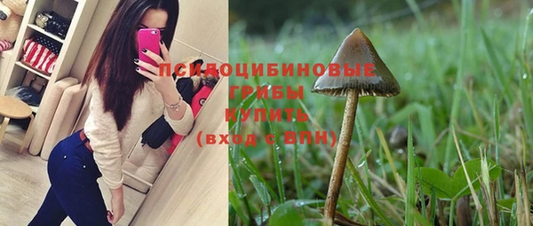 сатива Магас