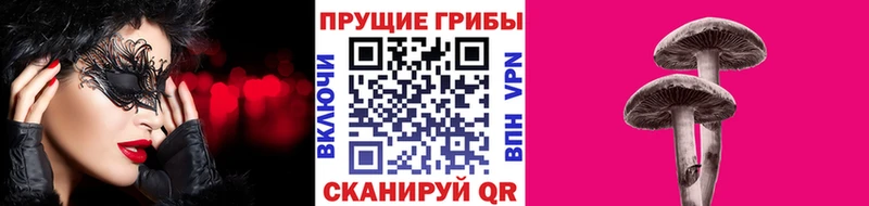 Галлюциногенные грибы Cubensis  Верхоянск 