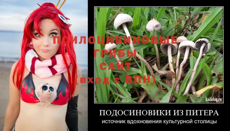 Псилоцибиновые грибы MAGIC MUSHROOMS  Верхоянск 